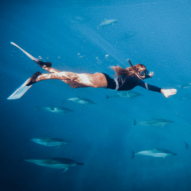 SHORTY JADE - Saint Jacques Wetsuits