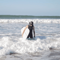 LONG JOHN FRONT ZIP - Saint Jacques Wetsuits
